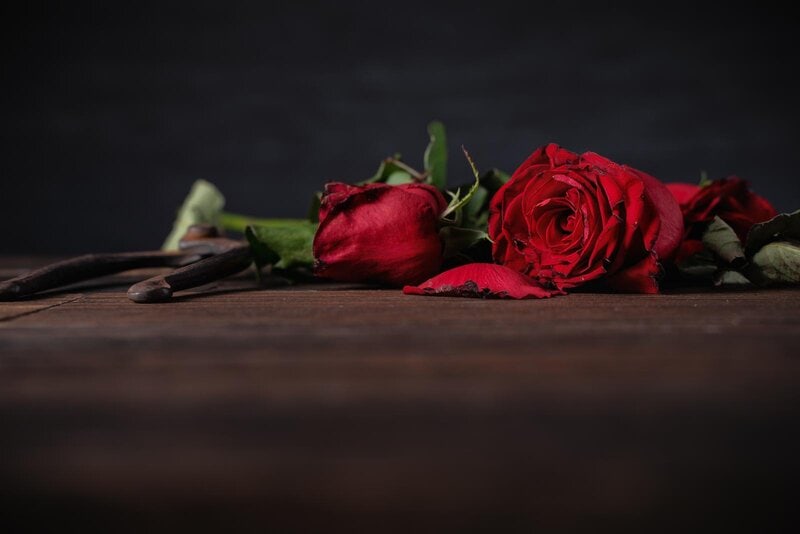 rsz 38947490 withered rose on dark gray background and wooden table with fall petals and leaves design concept of sad valentines day romance broken up copyspace